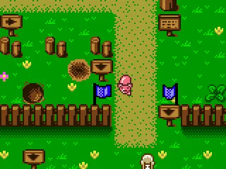 To complete the puzzle, babe and the sheep have to pass the flag.