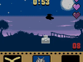 Taking photos from owls to find the missing one