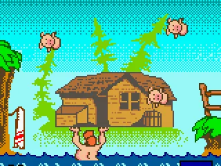 Balancing the pigs over the water.