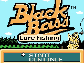 Start a new game or continue?