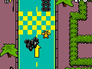 What a race looks like.