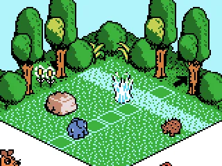 SPLASH! I fell in the water.