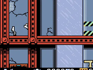 You can collect bones in the levels.