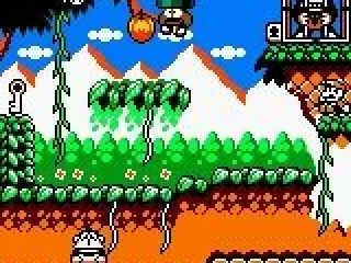 Game - Donkey Kong Jr.