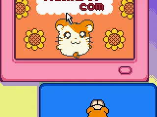 Hamsters also use Internet