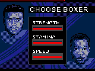 Choose boxer screen