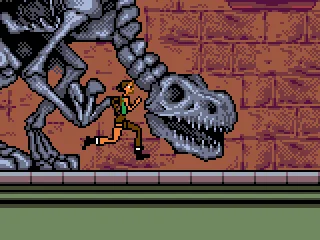 There's a huge dinosaur skeleton in the museum