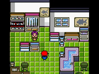 You can buy your equipment here.