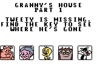 Objective and password screen
