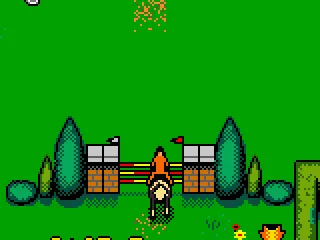 Fault!  You hit hit the gate.