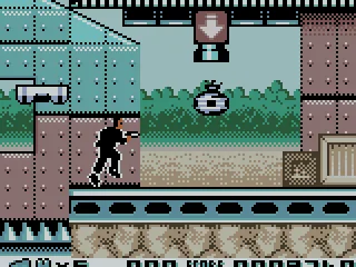 Rather strange luggage