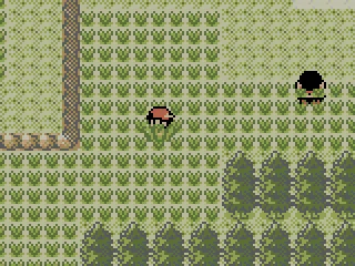 Searching for wild Pokémon in grassy areas