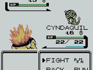 Your usual battle screen