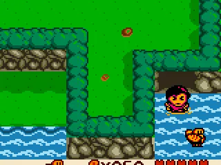 First quest: find 5 chickens. This chicken was in the ocean.