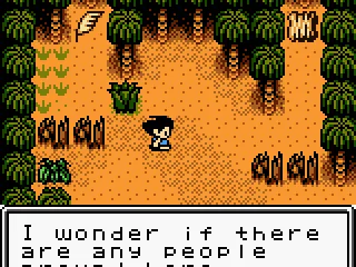 Discovering a new area to the island