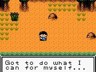 Waking up on the island