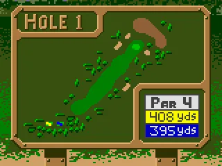 Field layout (for Hole 1).