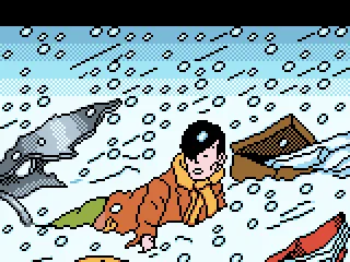 Chang survived a plane crash.