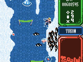 Watch out for the penguins.