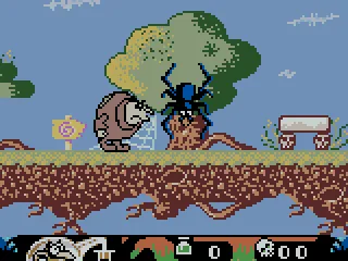 Aiming a punch at a spider.