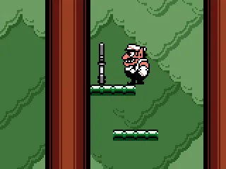 Find keys to open treasure chests.