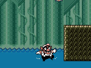 Wario swims very elegantly...