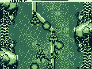 Rumble in the jungle