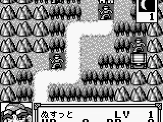 They all look the same