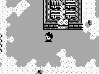 Too much sand may kill you.