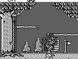 Beware of killer hornets.