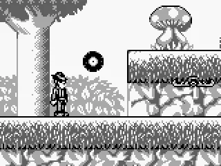 A big mushroom is on the hill