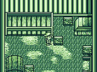 In my chicken coop. I need some chickens.