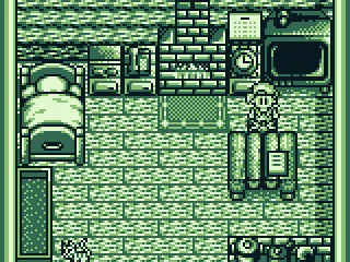 In you house with your cat.