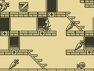 Collect the carrots.