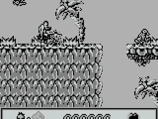 somethings hiding in the tree