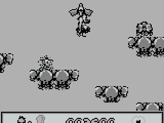 The bird picks you up