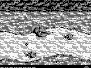 Swimming between the danger.