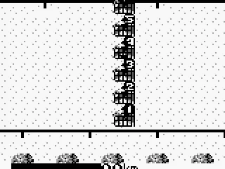 Race is about to begin