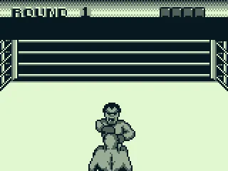 Round 1! Ding! Ding!