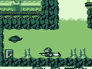 You need to swim, here. Avoid or shoot the fish