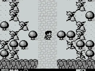 A mysterious earthquake takes place!