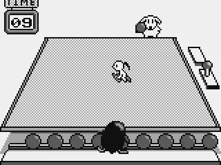 After a while, the little bird appears