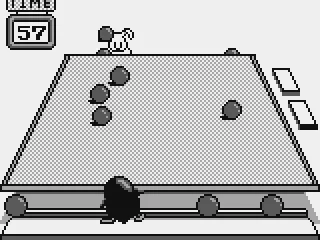 Sending a volley at the rabbit