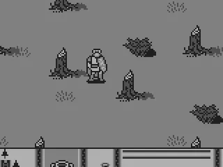 Someone has chopped down all the trees