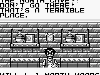 Talking to a villager