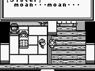 Your sister needs a certain magic fish to save her from her illness.