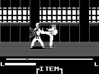 Attacked by what appears to be a fox-headed martial artist... (and yes, I'm a hacker.)