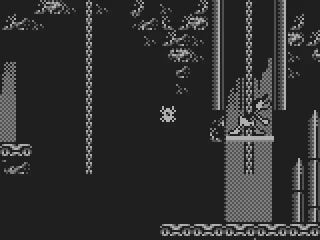 Let's go down into the cellar.