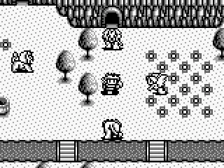 Exploring the outside world