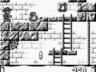 Why does have to be snakes!?